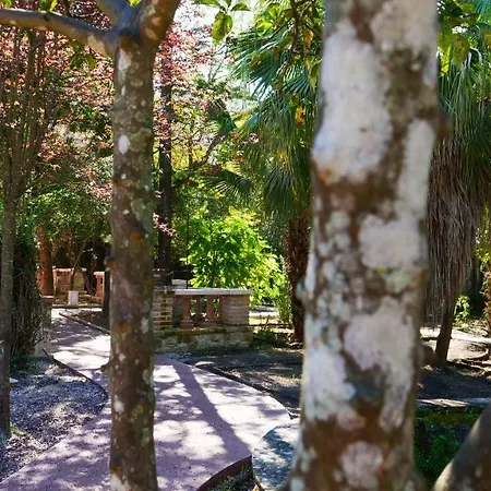 Heron's Path I * Analipsis (Corfu)